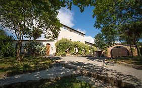 Massa Vecchia